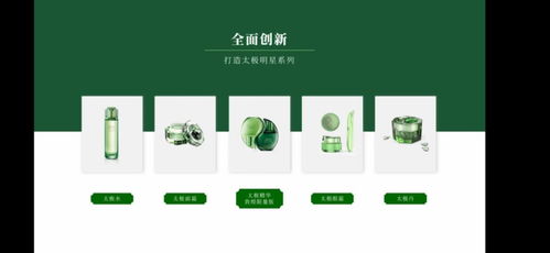 上海家化發布2020品牌戰略規劃，多品牌推出抗疫產品并強化文化傳播